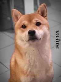 2023 02 28