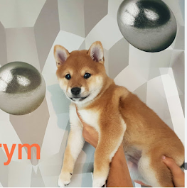 2023 04 26 27